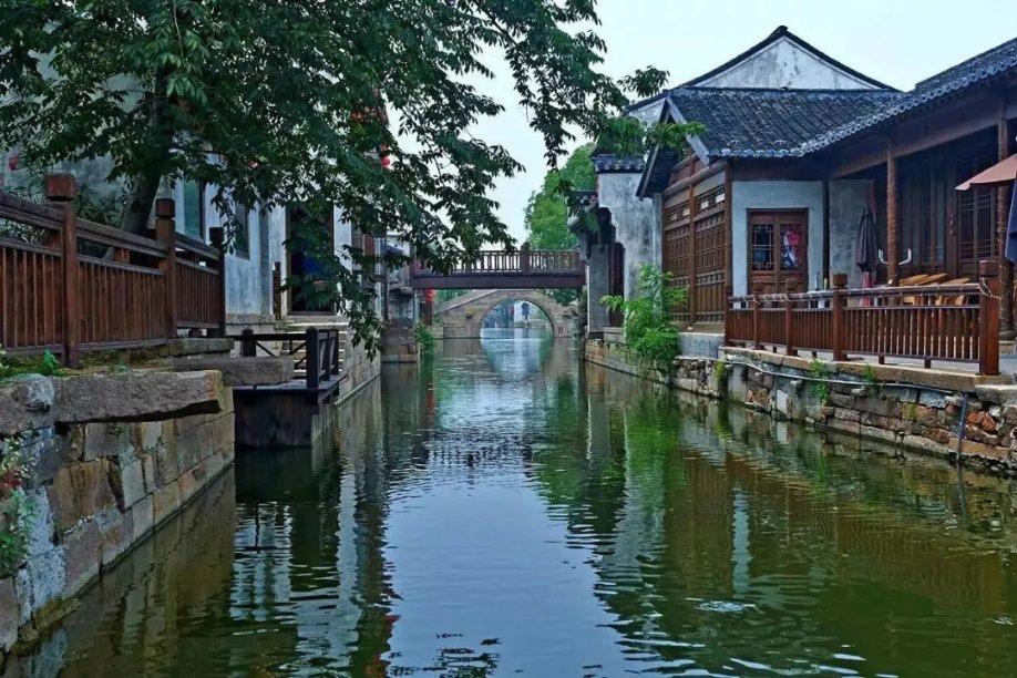 中听 | 应及时撕开“伪科普”的画皮
